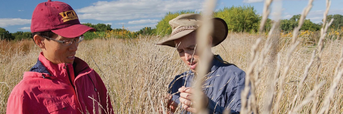 Two Researchers in Wheat Field