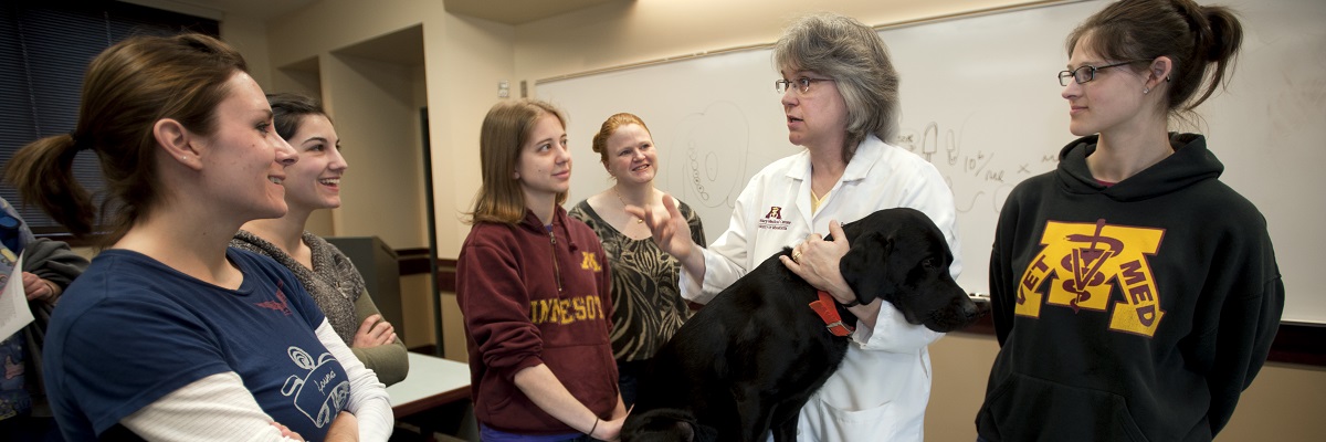 Group of Veterinarian Medicine Students with Dog