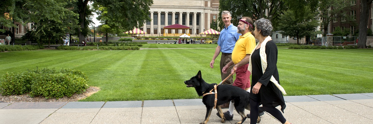 Visually Impaired Person Walking with Service Dog